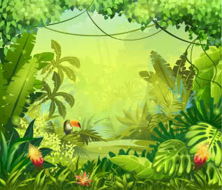 llustration with flowers and jungle toucan, nearbirds, Fotolia Pro Publico Mono