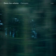 Canopée