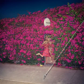 Feist - Pleasure Pleasure