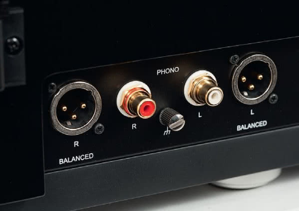 Model TD1601 wyróżnia się także wyjściami XLR (obok standardowych RCA), jednak o możliwości transmisji zbalansowanej decyduje typ wkładki