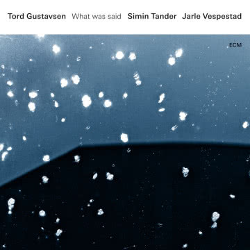 Tord Gustavsen - What Was Said What Was Said
