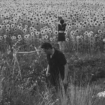 Jesu/Sun Kil Moon - Jesu/Sun Kil Moon Jesu/Sun Kil Moon