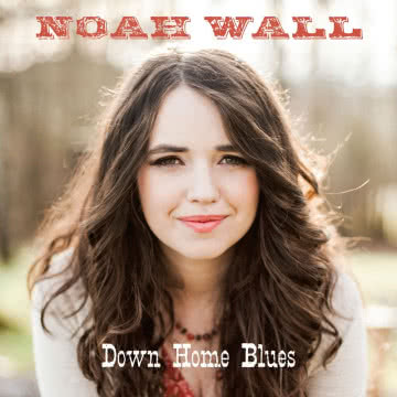 Noah Wall - Down Home Blues Down Home Blues