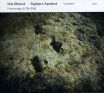 Lysoen: Hommage � Ole Bull