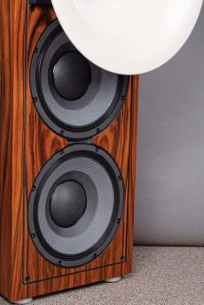 Avantgarde Uno Picco W cieniu wielkiej tuby zainstalowano
dwa 30-cm g�o�niki niskotonowe - do�cigni�cie
efektywno�ci tubowej sekcji �rednio-
wysokotonowej wymaga�o ich aktywnego
sterowania.