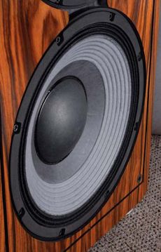 Avantgarde Uno Picco Jak w
gitarowym
piecu albo
na estradzie
- celulozowa
membrana
z przet�oczeniami,
na sztywnym
zawieszeniu,
do tego
z zewn�trzn�
uszczelk�