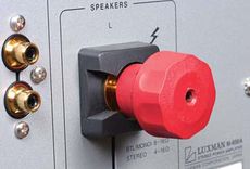 Luxman C-600F + M-600A Terminale g�o�nikowe Luxmana nale��
do najpot�niejszych, a RCA s� r�wnie solidne.