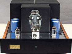 cymer_300b_m.jpg