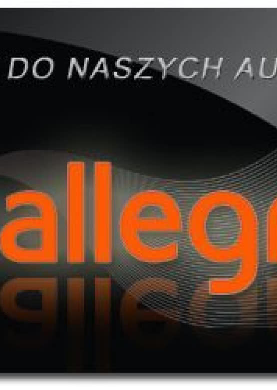 Aukcje Salonów DENON na Allegro