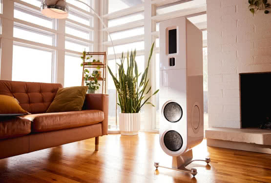 Kolumny głośnikowe PS Audio Aspen FR20