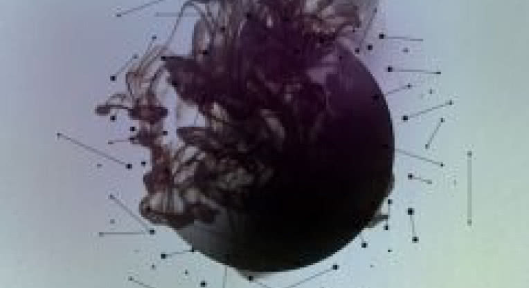 "Private Ghetto" grupy Animations w lipcu