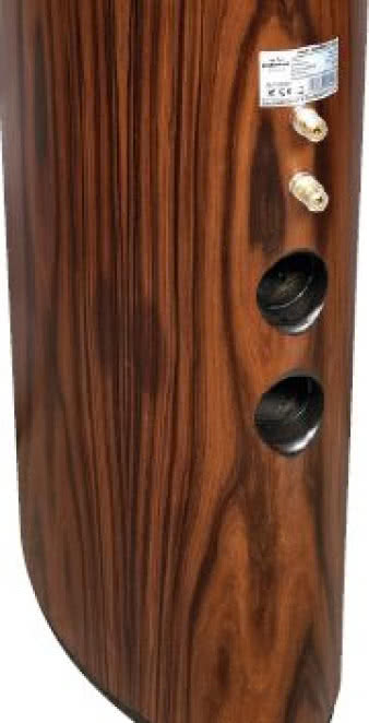 Obydwa głośniki
niskotonowe pracują we
wspólnej komorze bas-refleks; dwa otwory
(zamiast jednego większego) wyprowadzono
dlatego, że na zagięciu obudowy z tyłu
(nie ma miejsca na otwór o większej średnicy.
Samego faktu, że otwory są z tyłu, a nie przodu, nie
ma się co obawiać, gdyż - po pierwsze - kształt
obudowy pozwoli fali odpłynąć na boki, a 