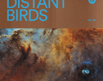 Distant Birds Vol. 01 &amp; 02