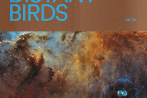 Distant Birds Vol. 01 & 02
