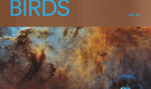 Distant Birds Vol. 01 & 02