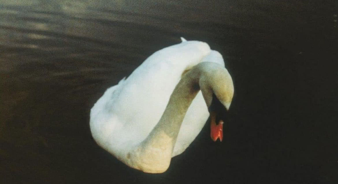 Ludovico Einaudi zapowiada nowy album. Premiera "Underwater" 21 stycznia