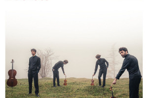 In the Fields