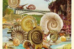 Love for Snail