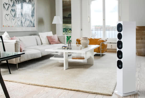 Kolumny głośnikowe System Audio w dystrybucji Q21