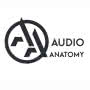 Audio Anatomy