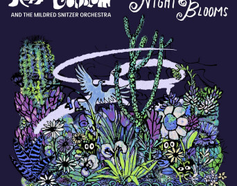 Night Blooms