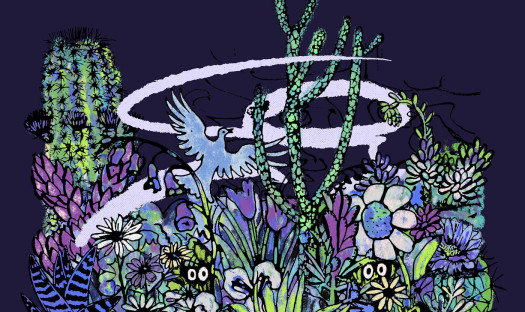 Night Blooms