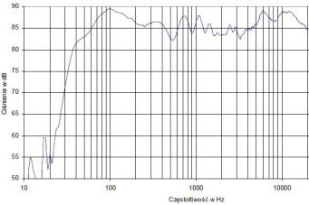 Rys. 4.2 - Audience 122 Center - charakterystyka przetwarzania w całym pasmie akustycznym, złożona z pomiarów sinusoidą i MLS.