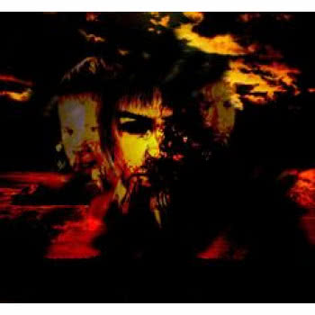 Where Abandoned Pelicans Die