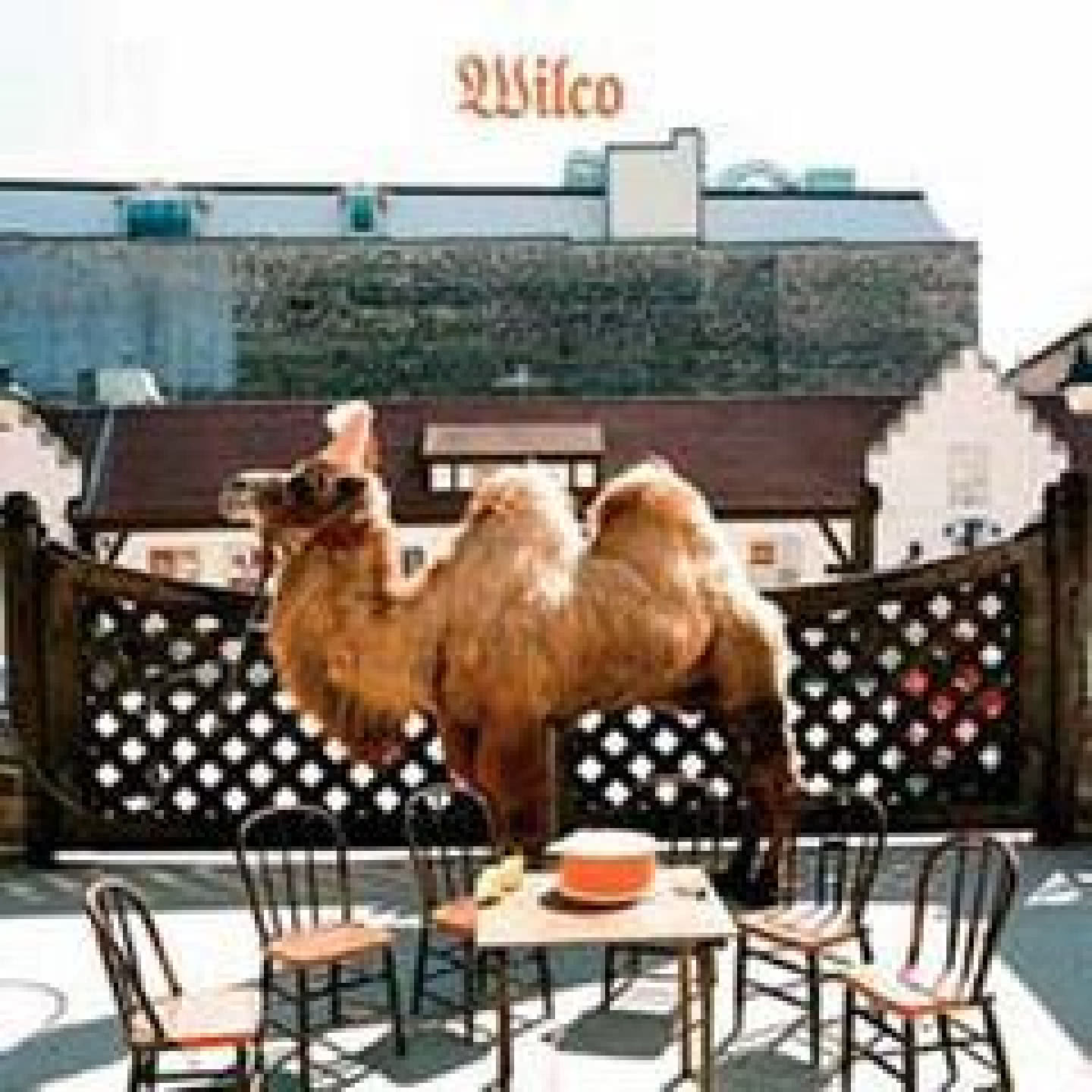 Wilco (The Album)