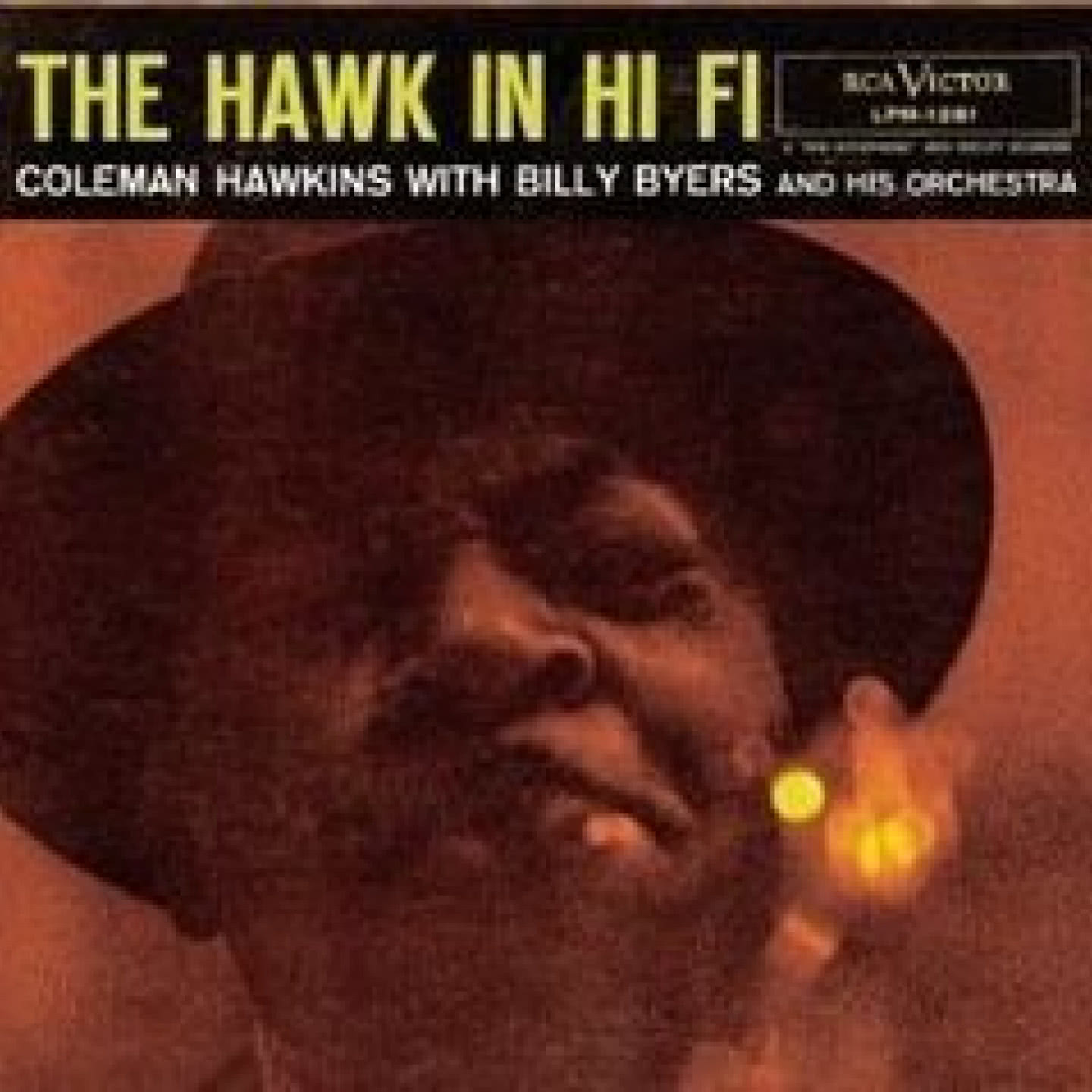 The Hawk In Hi Fi