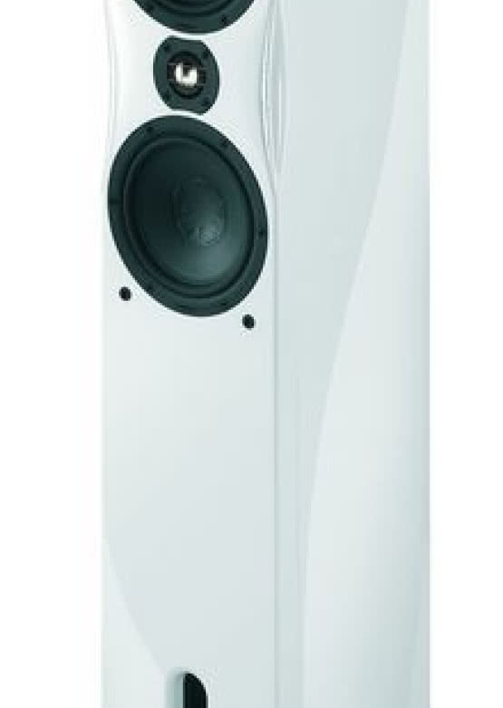 GermanMaestro MS F-One