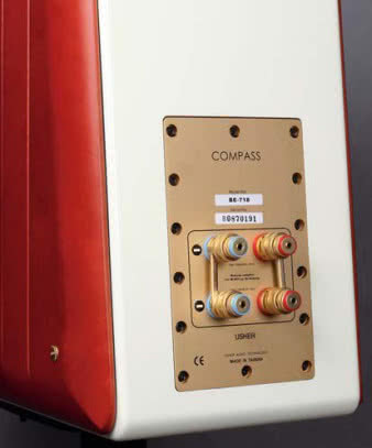 Na wielkiej mosiężnej płycie,
przykręconej 14 śrubami!, zainstalowano dwie
pary wspaniałych zacisków przyłączeniowych,
łączonych solidnymi, "kutymi" zworami, a nie
pozłacanymi blaszkami. Co jednak znajduje
się po drugiej stronie?