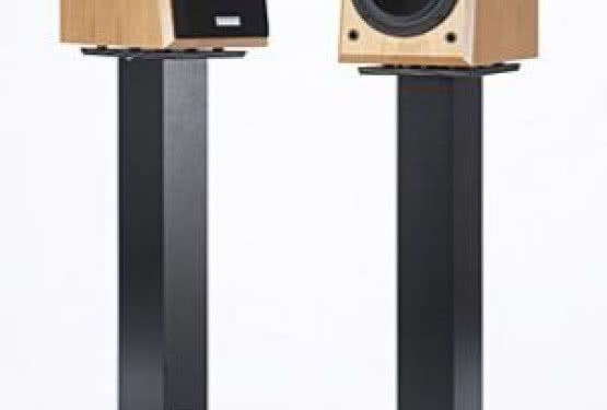 Xavian: specjalna ewolucja