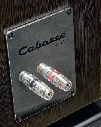 Chromowana tabliczka gniazda przyłączeniowego
nie zrobi nam z Alderney produktu
luksusowego, ale można przyznać, że
kolumny wyglądają nowocześnie
i estetycznie.