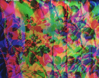 Frank Carter &amp; The Rattlesnakes Wild Flowers