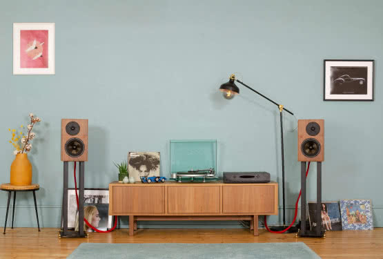 Revival Audio w portfolio DNA AUDIO