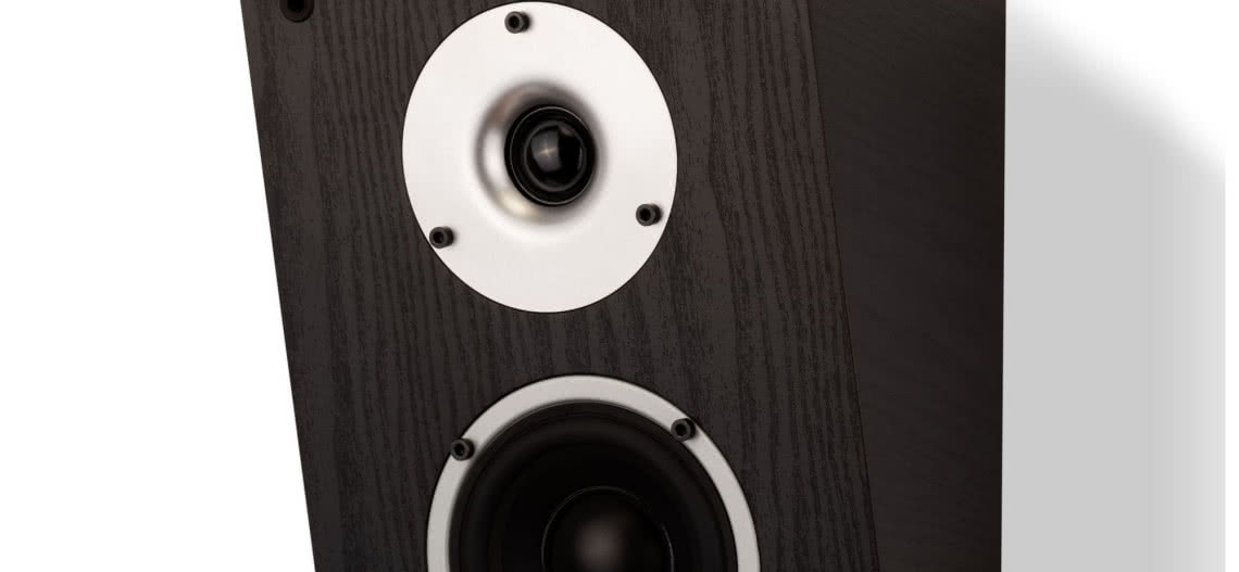 Głośniki Wilson Raptor X