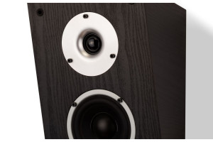 Głośniki Wilson Raptor X