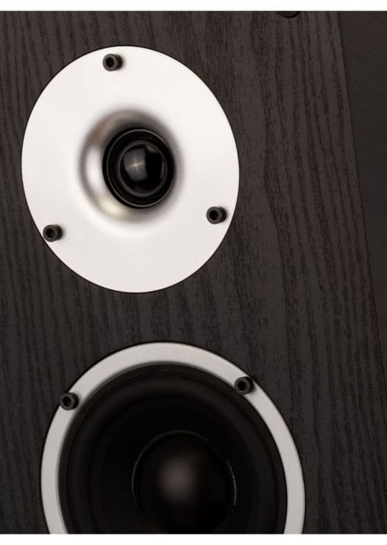 Głośniki Wilson Raptor X