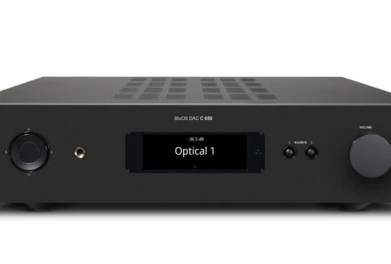 Przedwzmacniacz/DAC/odtwarzacz strumieniowy BluOS NAD C 658