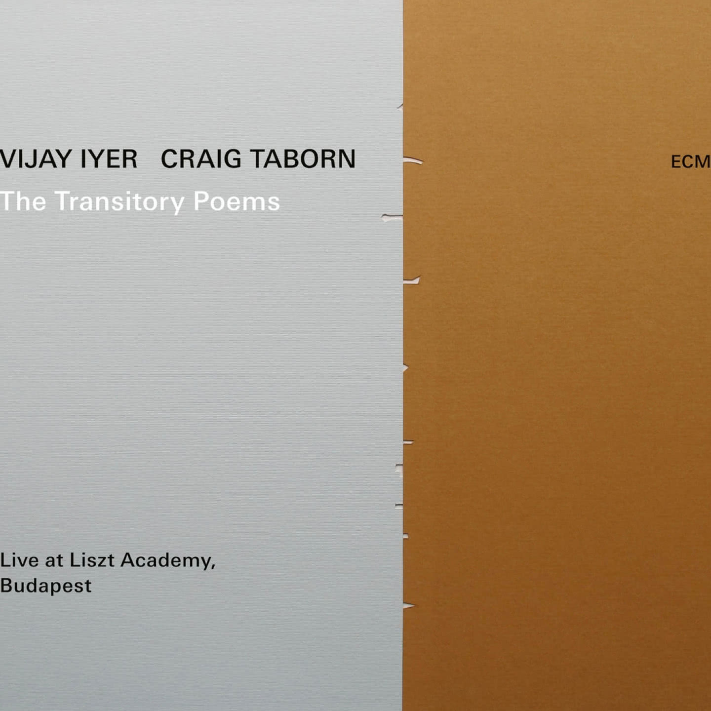 The Transistory Poems