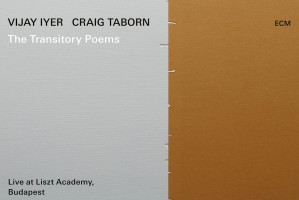 The Transistory Poems