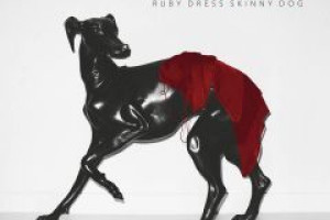 Ruby Dress Skinny Dog