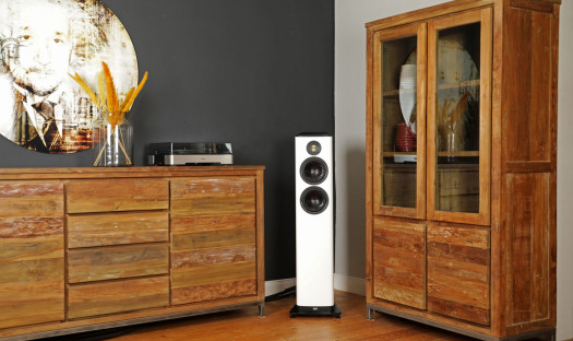 Kolumny głośnikowe ELAC Vela FS 408