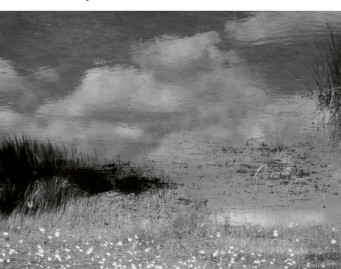 And Then Comes The Night