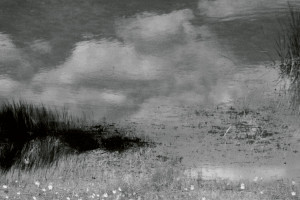 And Then Comes The Night