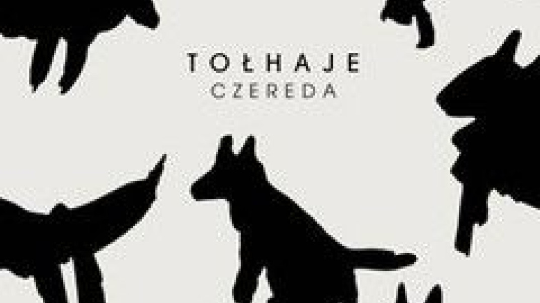 Część piosenek znamy z serialu "Wataha": Tołhaje wydają trzecią płytę