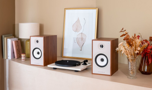 Kolumny głośnikowe Triangle Borea Connect w nowej odsłonie