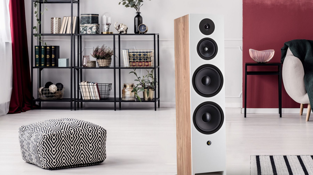 Davis Acoustics Krypton 10 - kolumny do dużych pomieszczeń