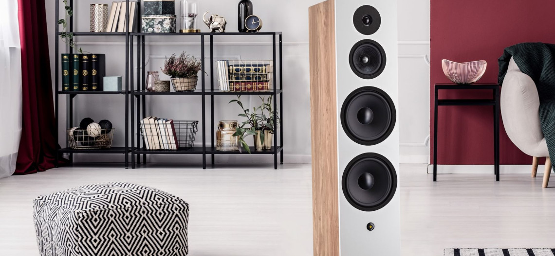 Davis Acoustics Krypton 10 - kolumny do dużych pomieszczeń